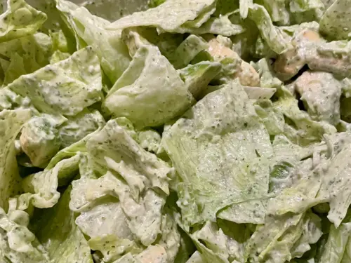 Frisk salat med koriander- og yoghurtdressing